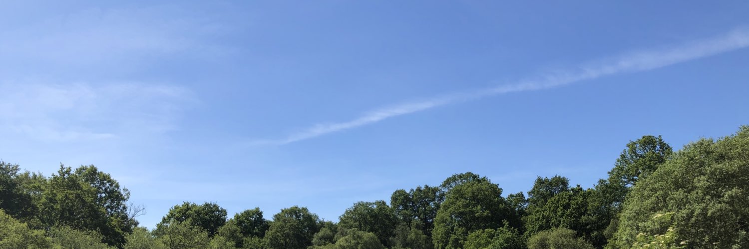 hannah_rowell's profile banner image