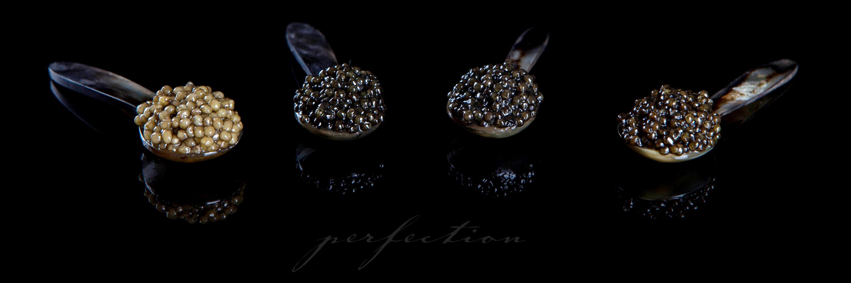 AmSturCaviar's profile banner image