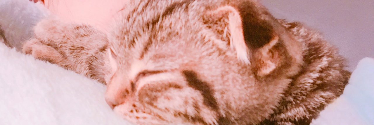 P_ach_'s profile banner image