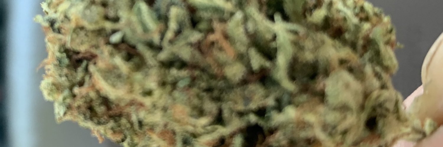 cheftoole's profile banner image