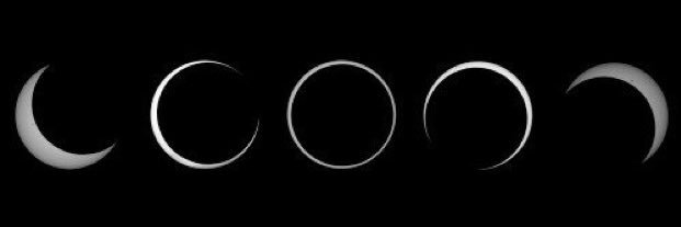HalfMoonH0ney's profile banner image
