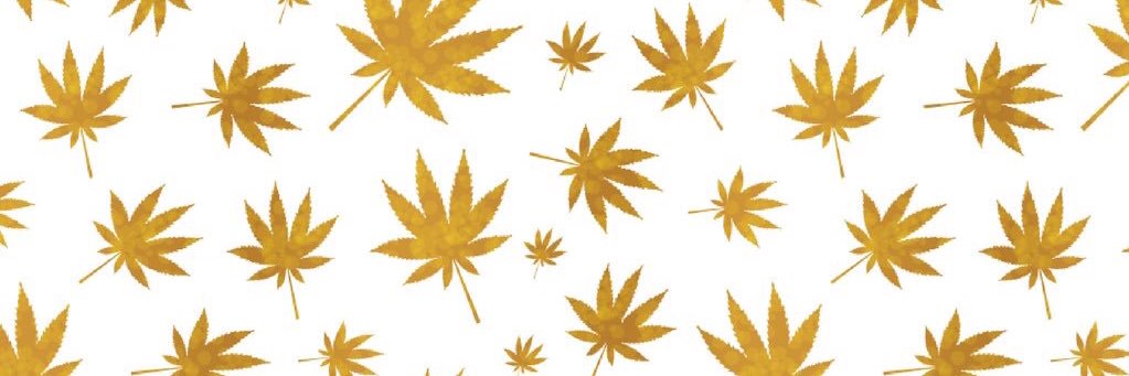 aba_ranks's profile banner image