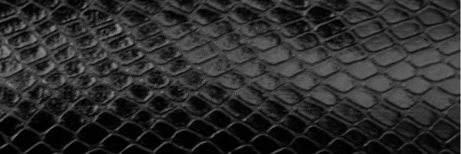 AWickedSnake's profile banner image