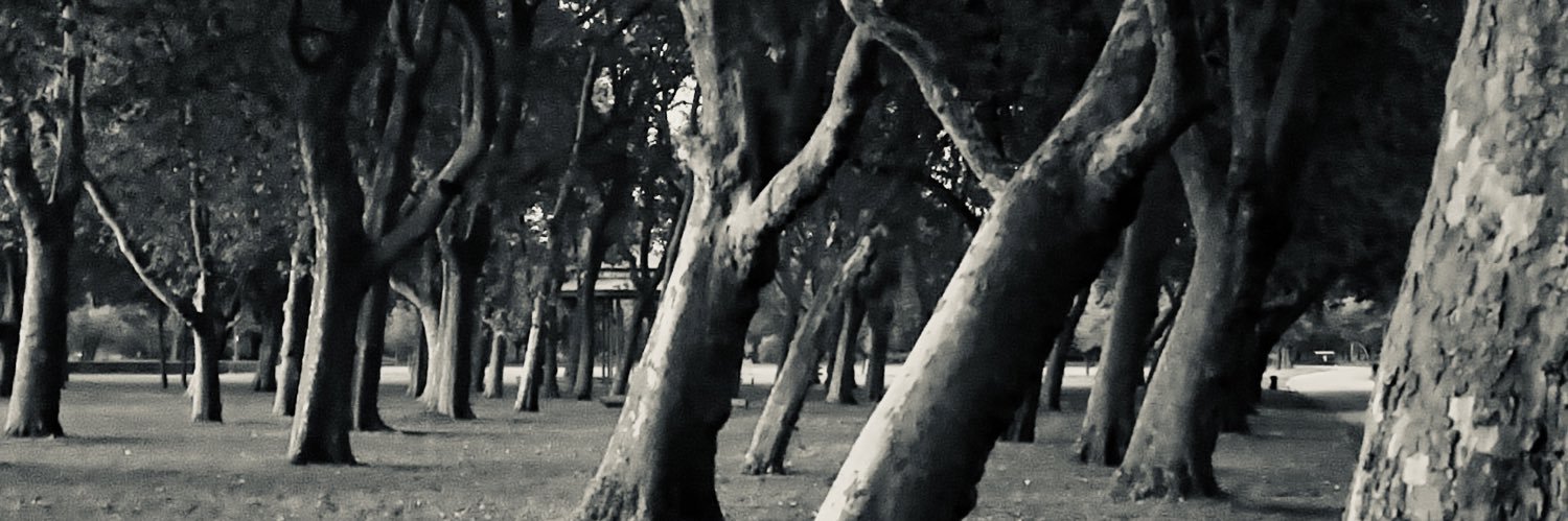 KS_Ayodele's profile banner image