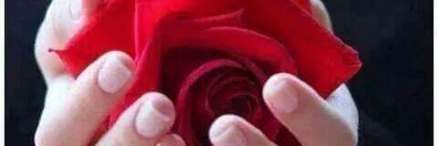 junaidmirza1994's profile banner image