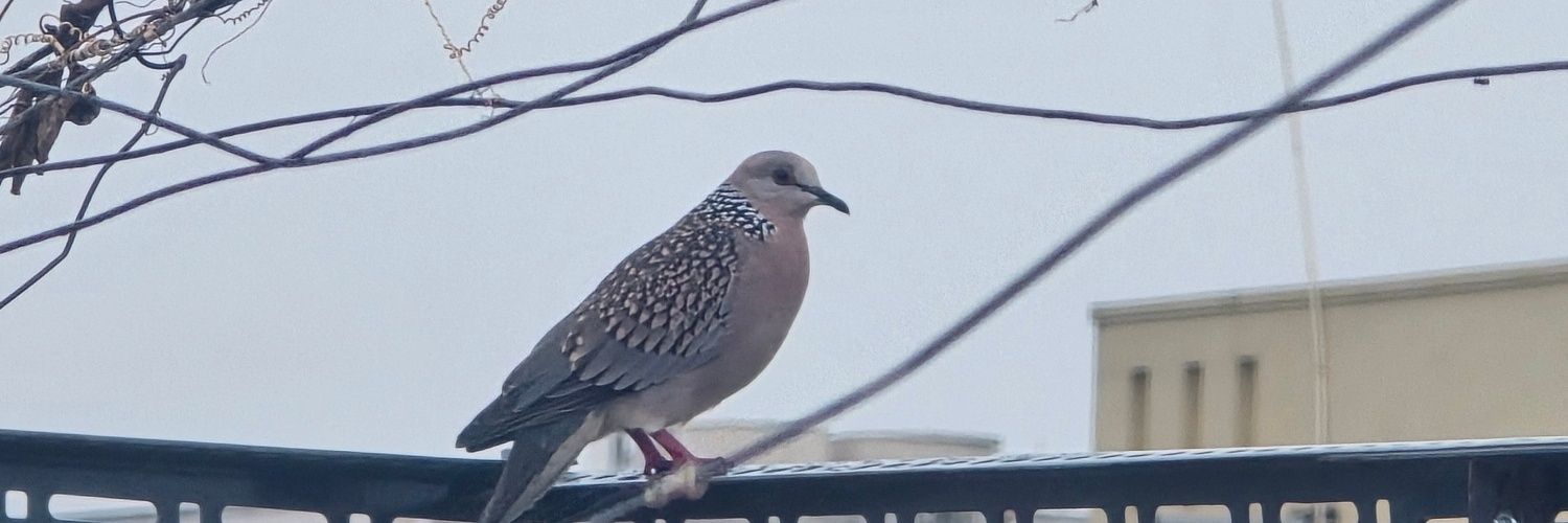 Premchand Chowdary banner