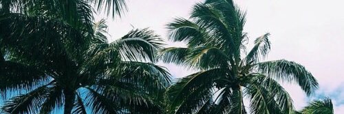Monny_Malik's profile banner image