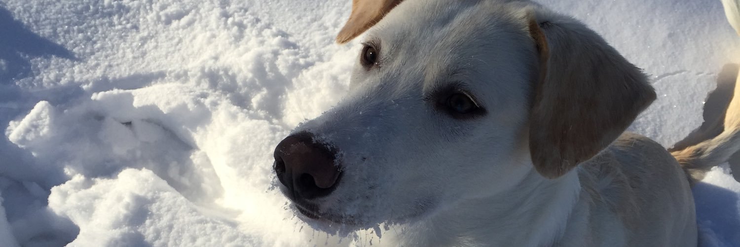 emilymargeson's profile banner image
