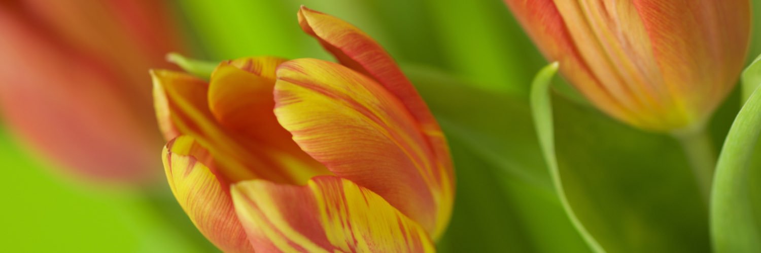ronnie91192's profile banner image