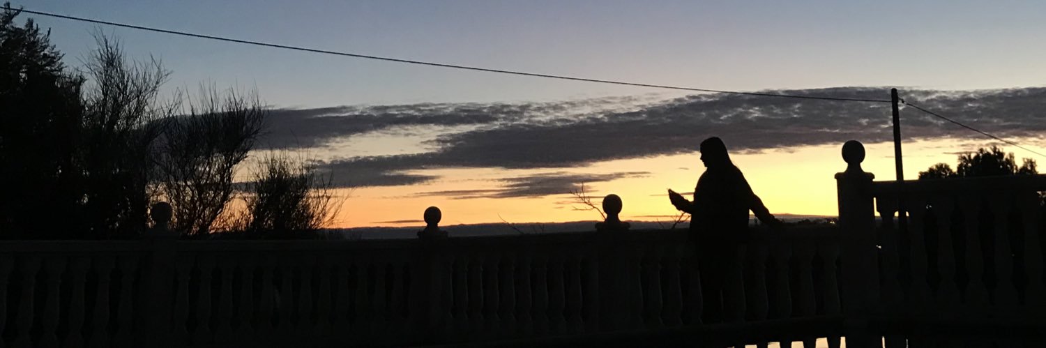 sarasilmar's profile banner image