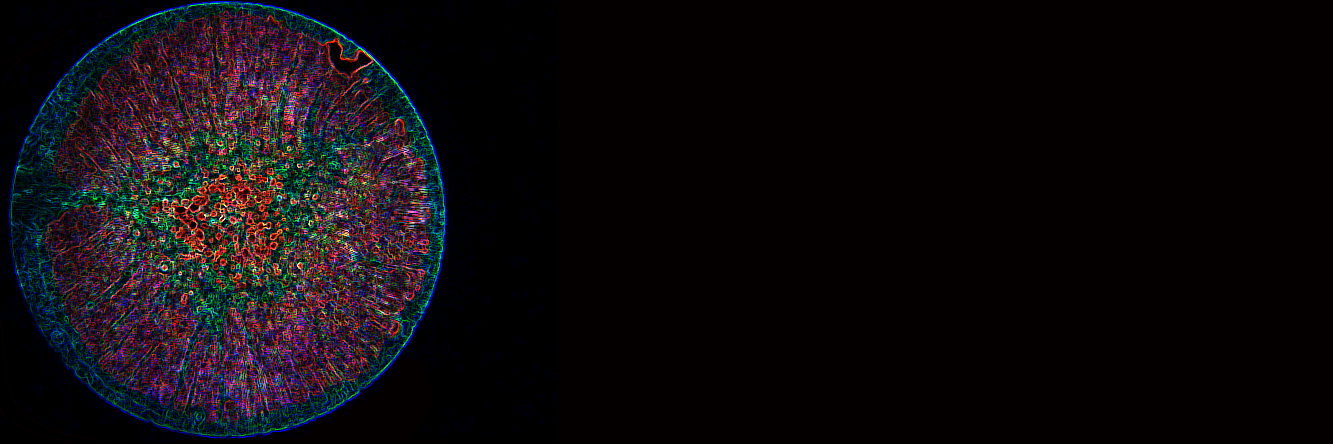 StanCollective's profile banner image