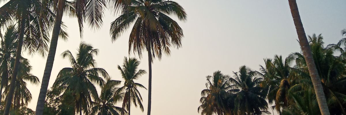 liaprtw31's profile banner image