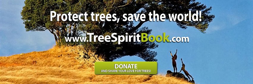 TreeSpiritEvent's profile banner image