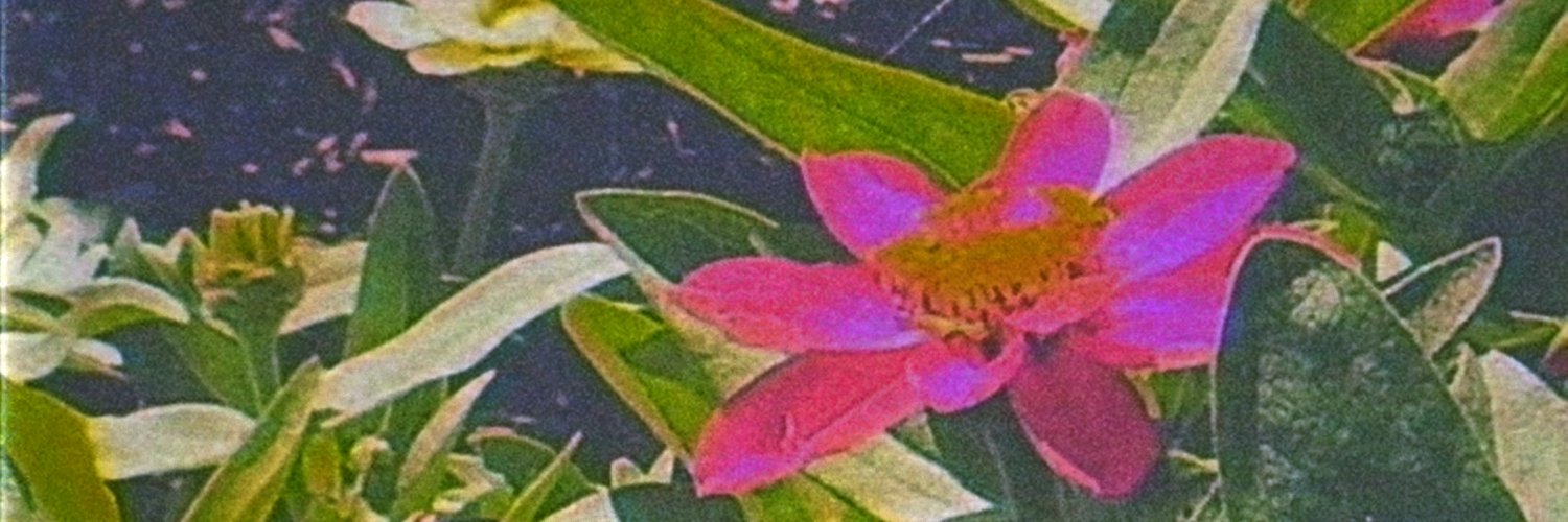 chillbf's profile banner image