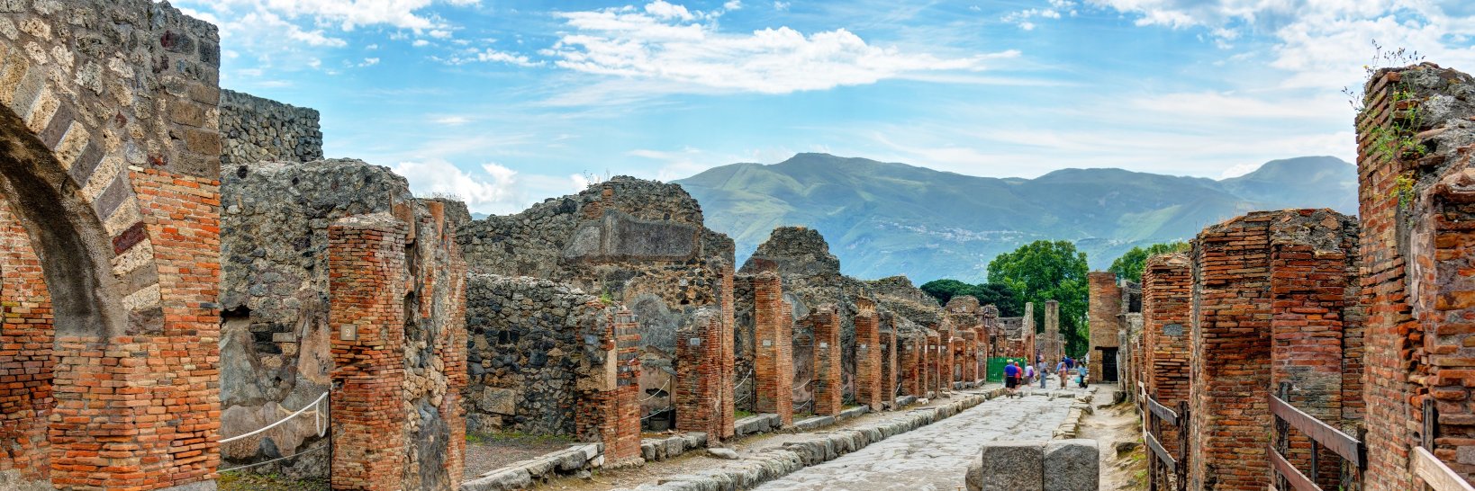 Gaius Plinius banner