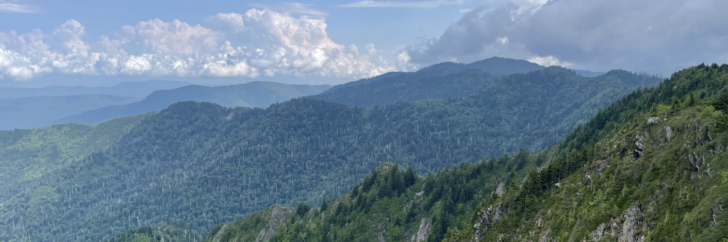McnittCarson's profile banner image