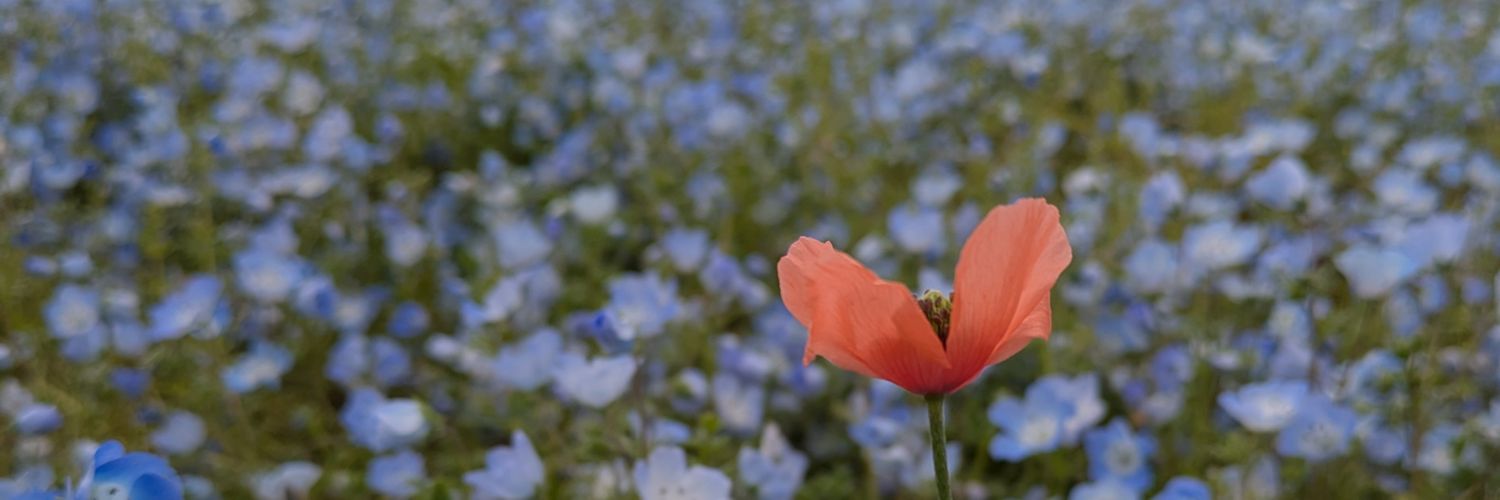 UTvTU___213's profile banner image