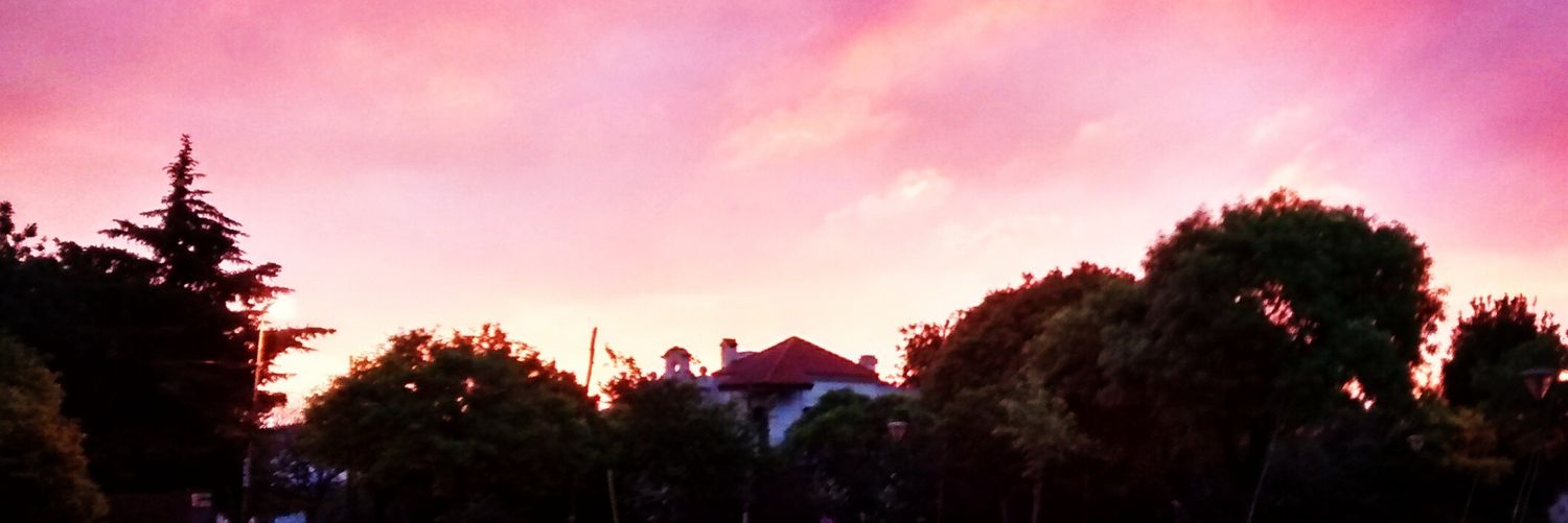 SoofiSancho's profile banner image