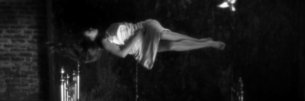 MaxCountryman Profile Banner