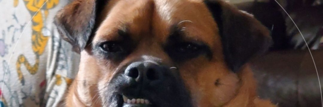 Omeganaught's profile banner image