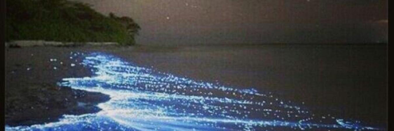 ivan_o_beach's profile banner image