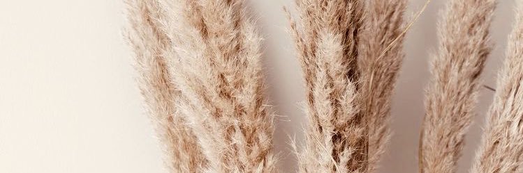 MahetziGonzalez's profile banner image