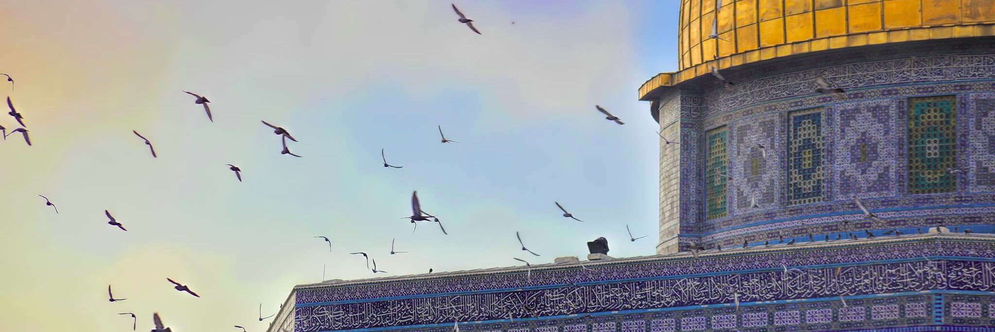 FareedMasud's profile banner image