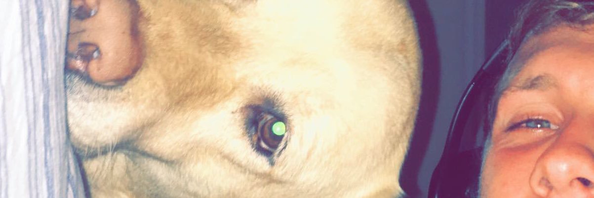 IitsLogan8's profile banner image