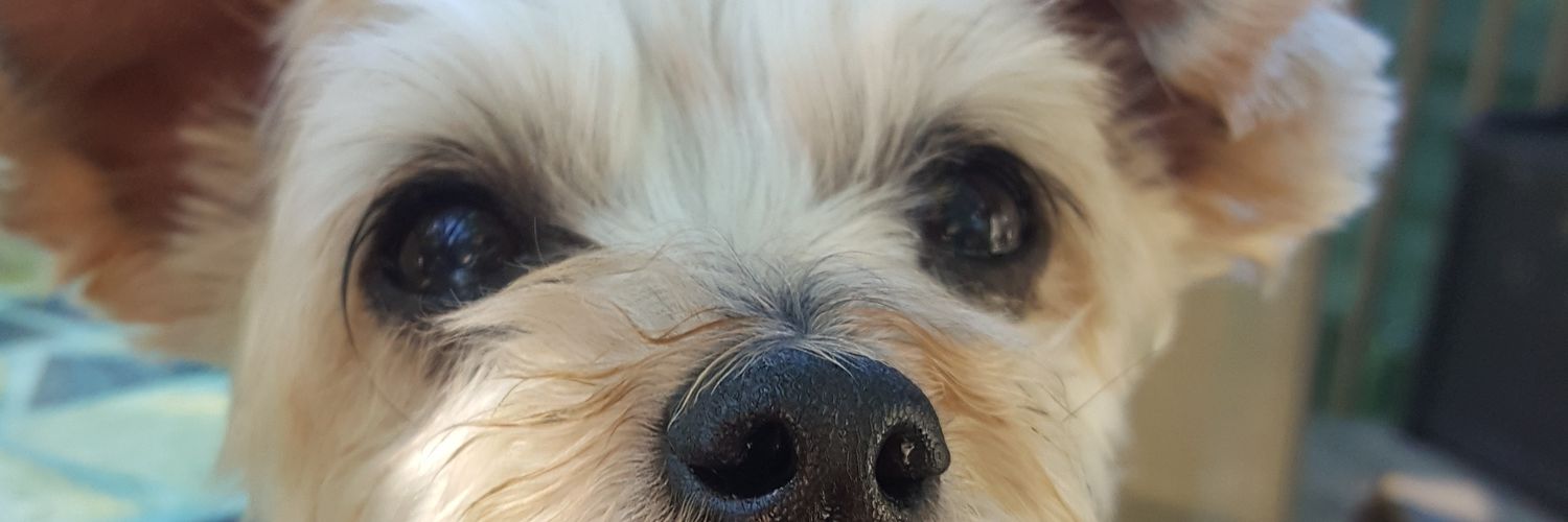 aloeveraking_'s profile banner image