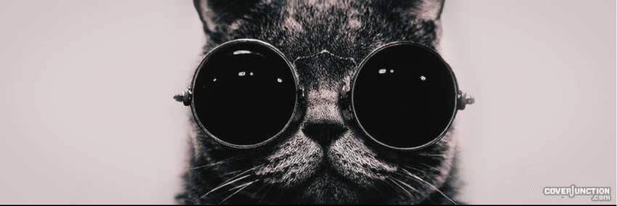 xJunoCat banner