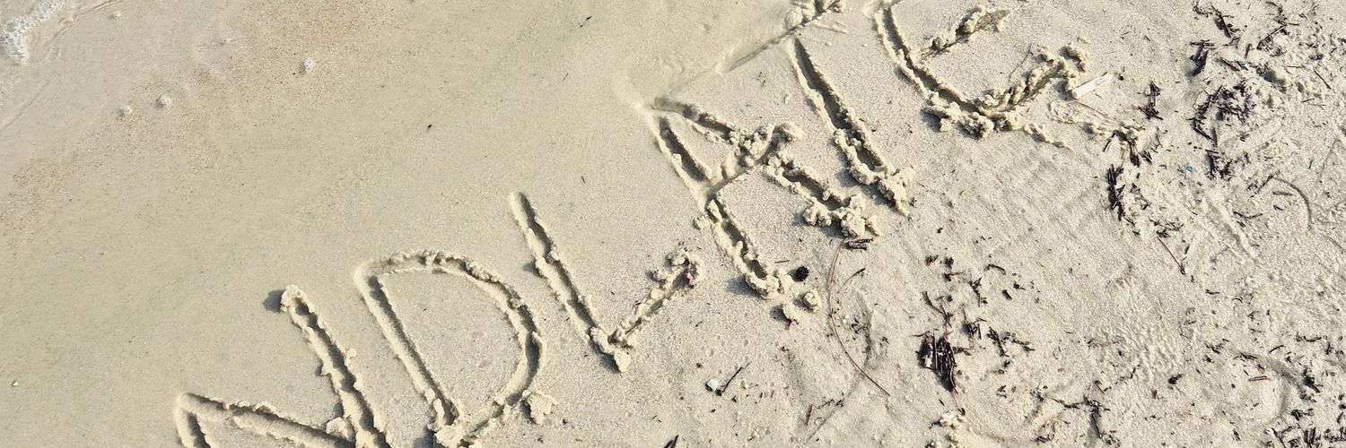 ManDlate404's profile banner image