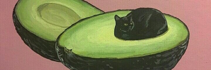 allisonsilverr's profile banner image