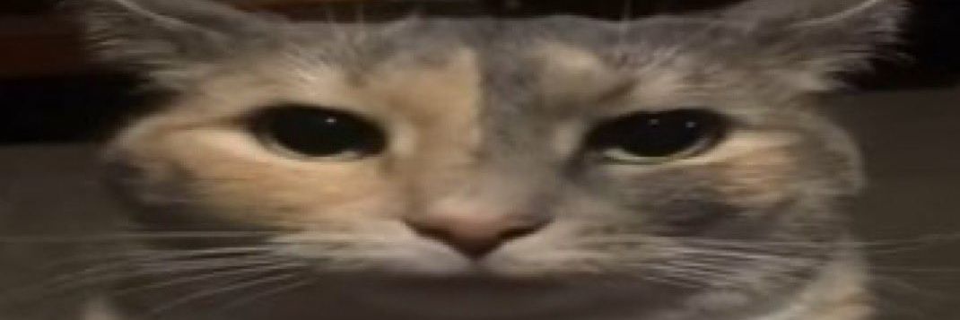 sircoda's profile banner image
