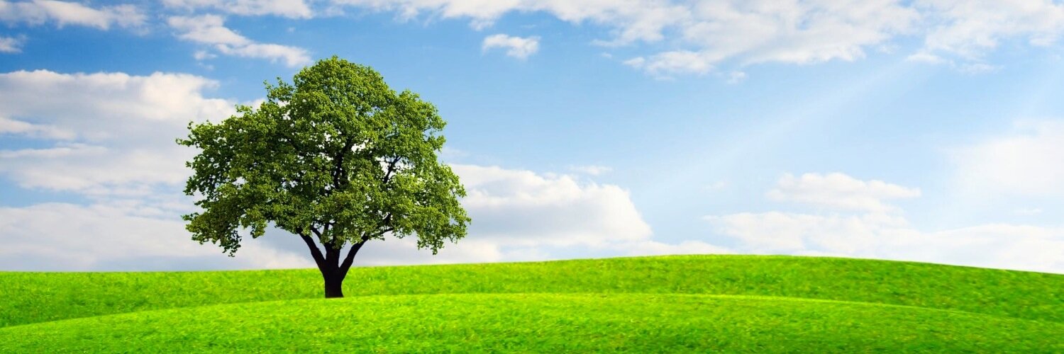 SunitBhalla's profile banner image
