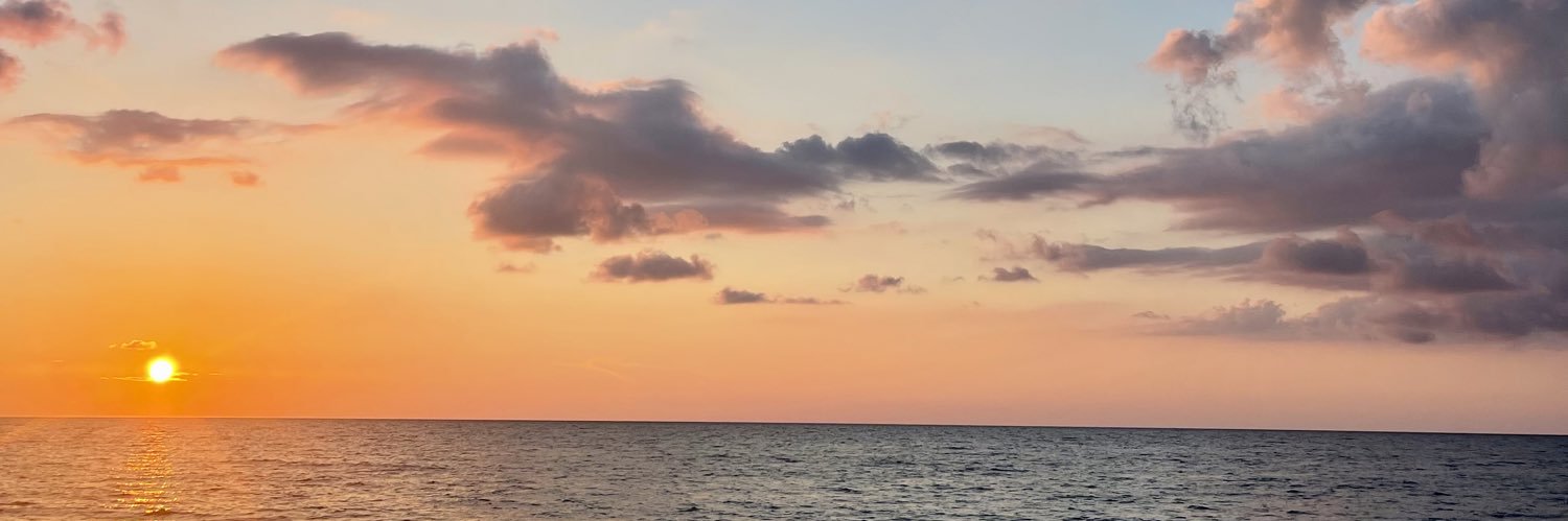 annnfnc's profile banner image