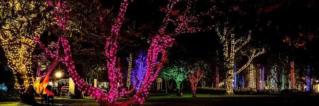 Wandile Masina 🇿🇦 banner