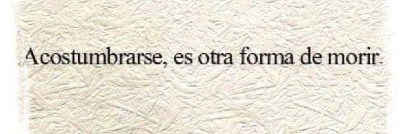 Fabiola Cayla banner