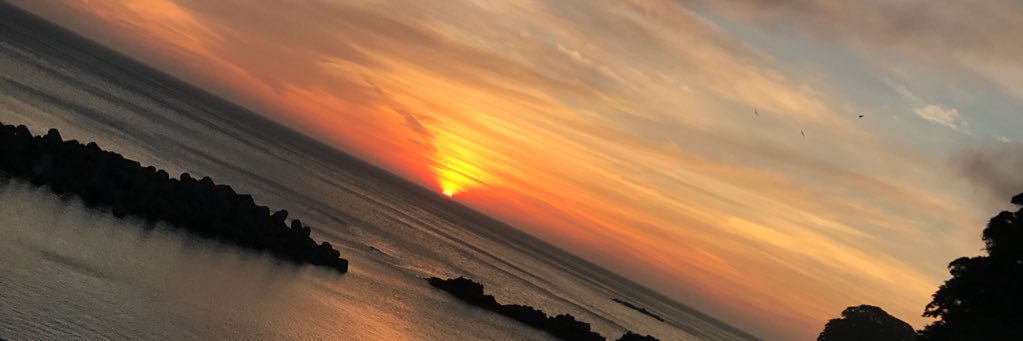 donarudofree's profile banner image