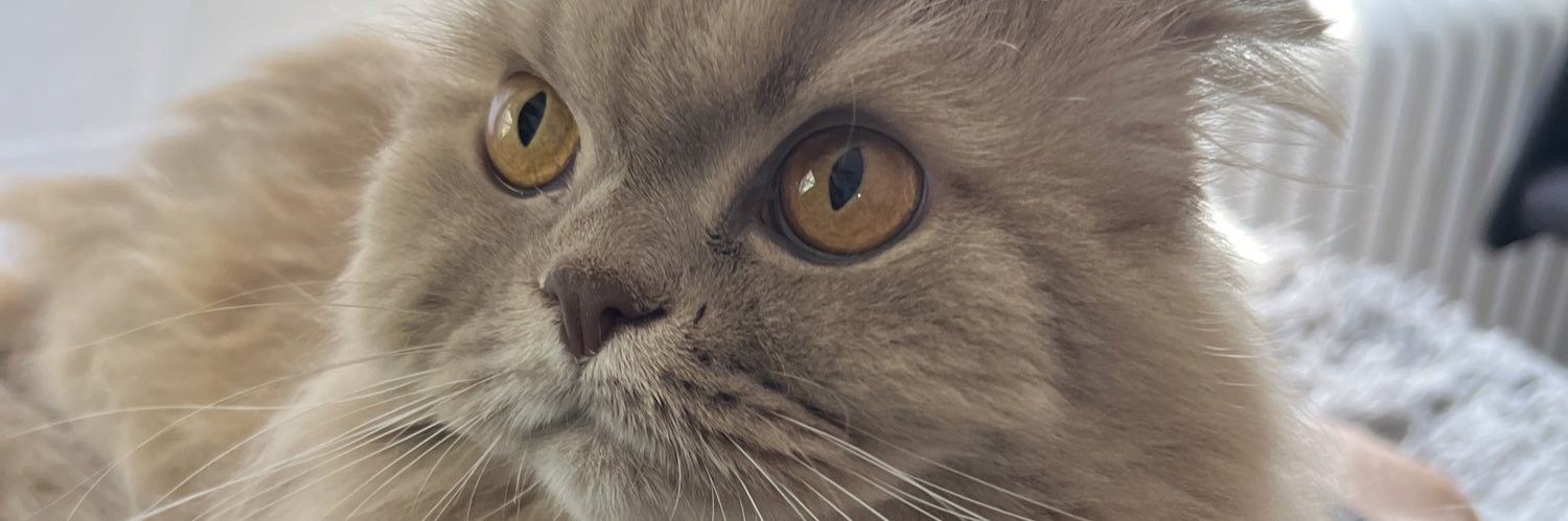 DanThor9's profile banner image
