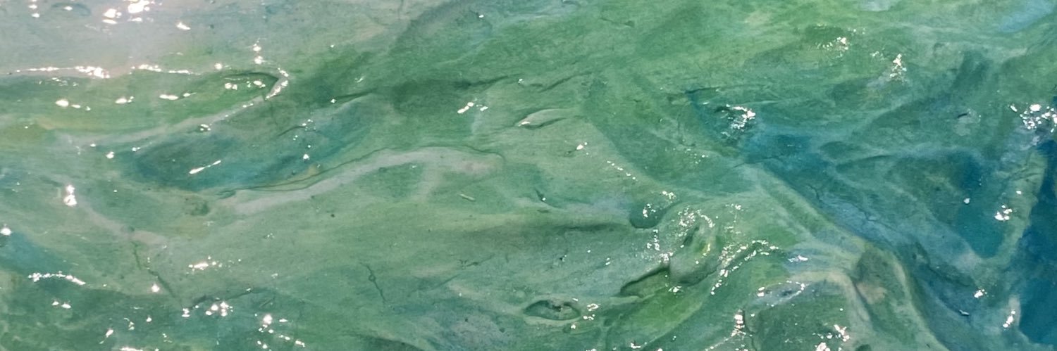 sgutzz's profile banner image