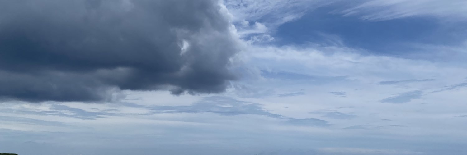 dar11sa's profile banner image