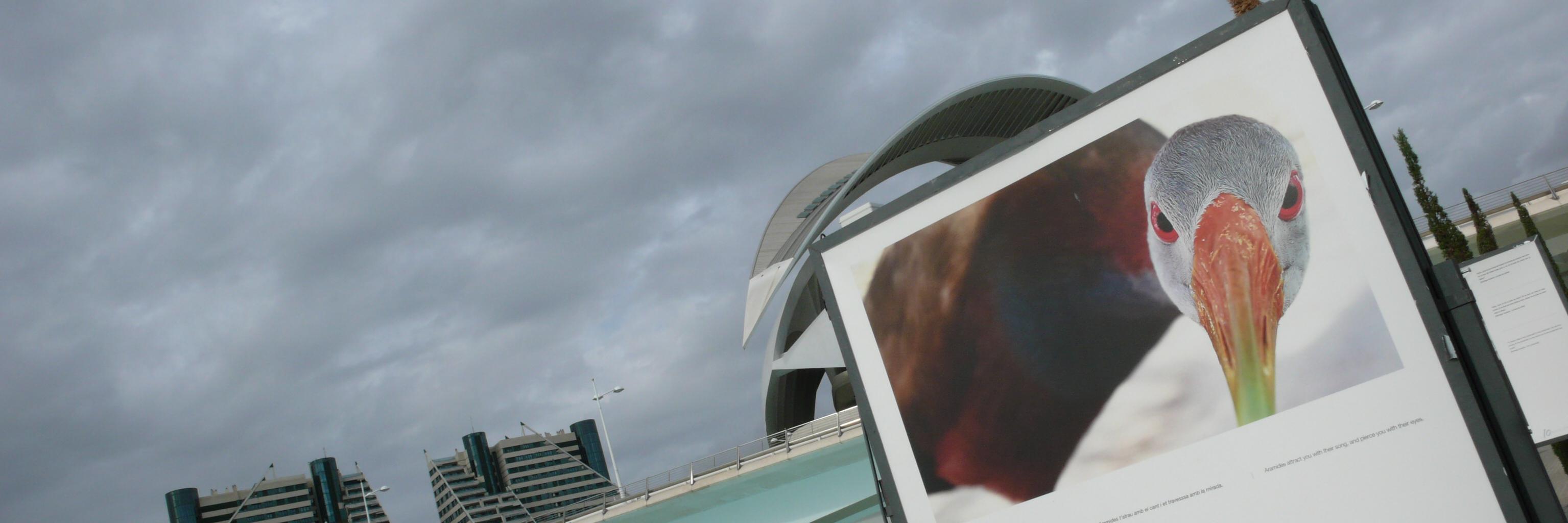 SamuelChagnard's profile banner image