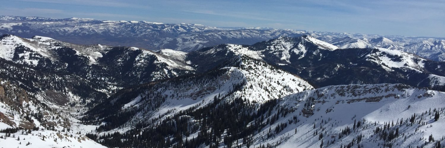 robert digeronimo banner