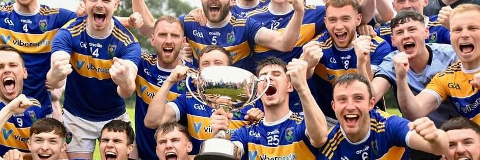 Cathal Mc Cullagh banner