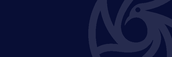 AlexandreVidal1 Profile Banner