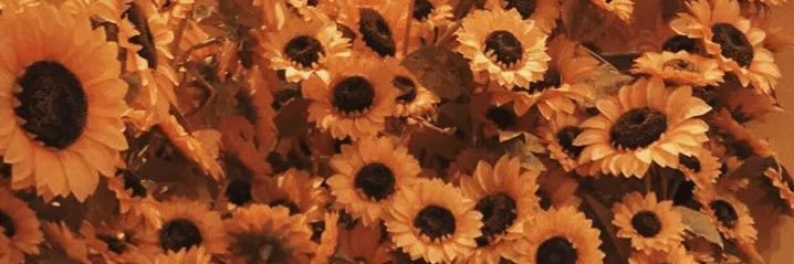 _gem0fabird's profile banner image