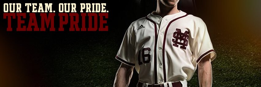 Team_Pride's profile banner image