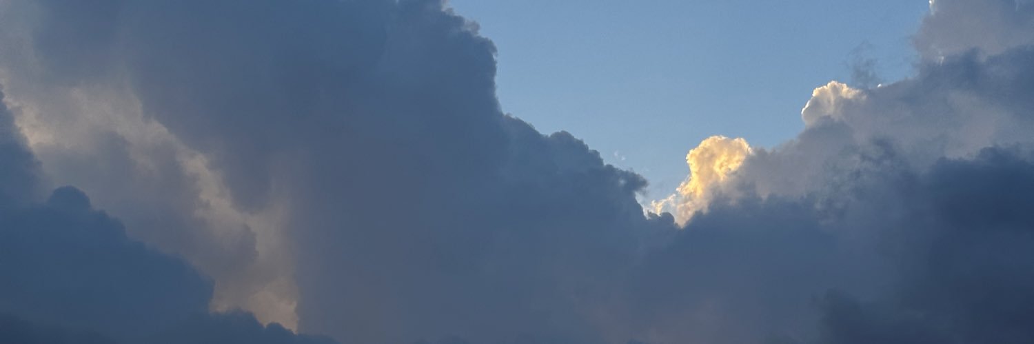 latinflowerr's profile banner image