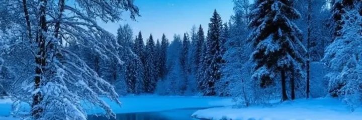 ERCorrales_'s profile banner image