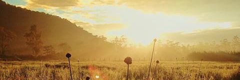 srinirwana04's profile banner image